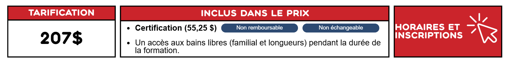 prix croix de bronze.png